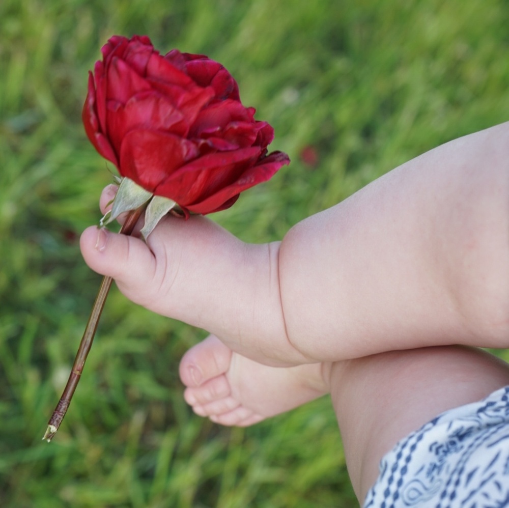 Meet your Posher, Amanda